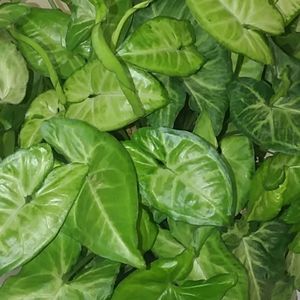 All Offers are welcome!!